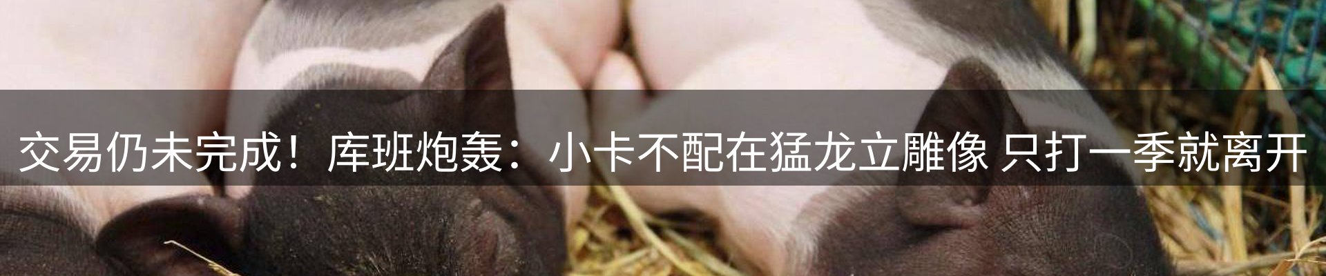 综合资讯