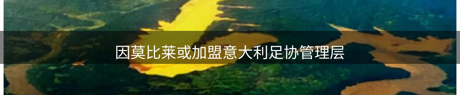 今日快讯