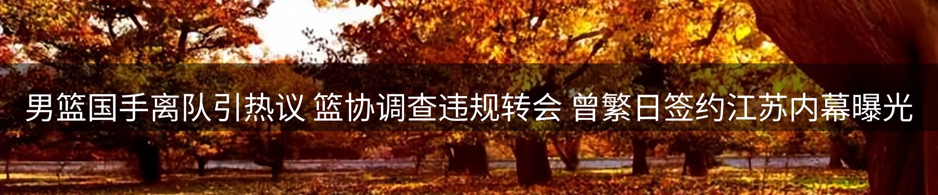 综合资讯